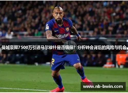 曼城豪掷7500万引进马尔穆什是否值得？分析转会背后的风险与机会