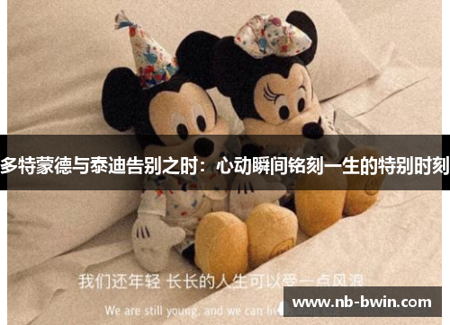 多特蒙德与泰迪告别之时：心动瞬间铭刻一生的特别时刻