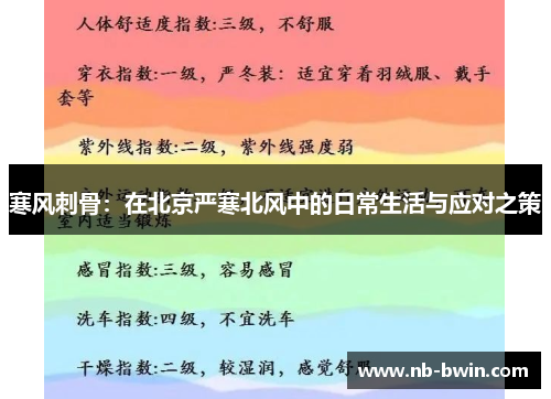寒风刺骨：在北京严寒北风中的日常生活与应对之策
